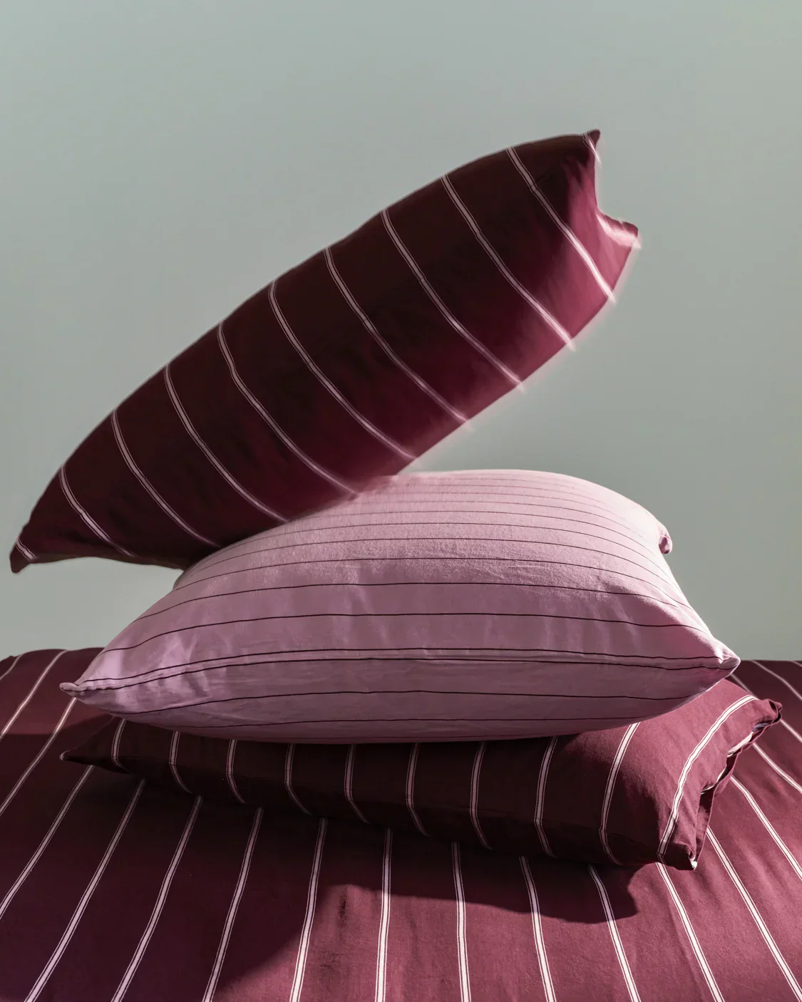 European Pillowcase - Aster - Image 2