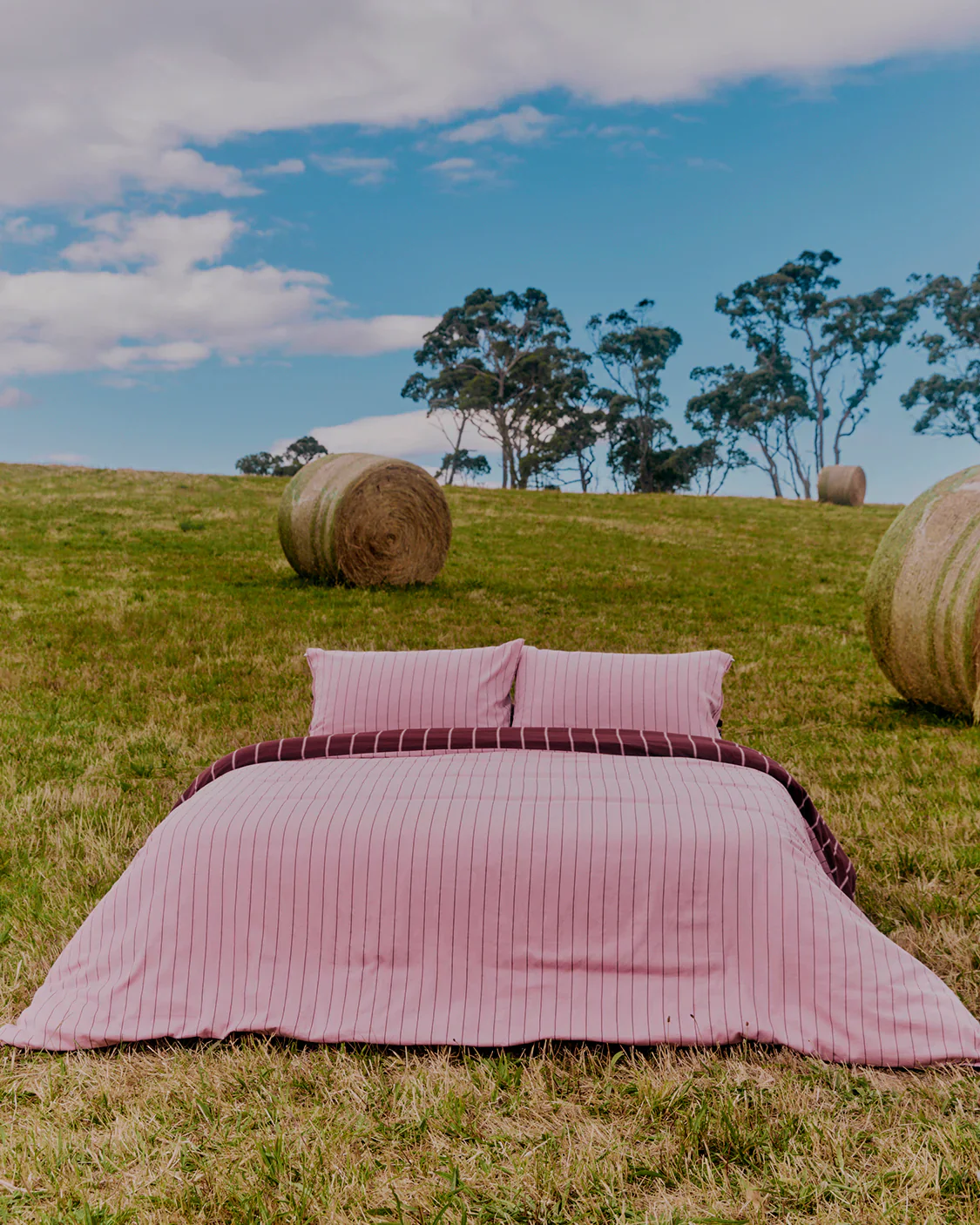 Pillowcase Pair - Aster - Image 4